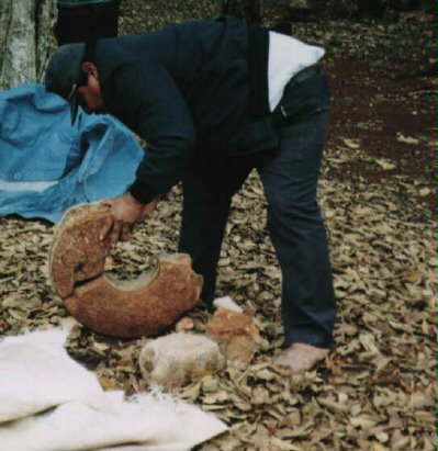 Not as expansive as the ruins in Gautamaula's Tikal,
        but unbelievably ornate
