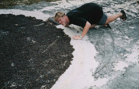 Andrew, always over-anxious when it comes to coffee, pictured here at a coffee plantation near las Terrazas.