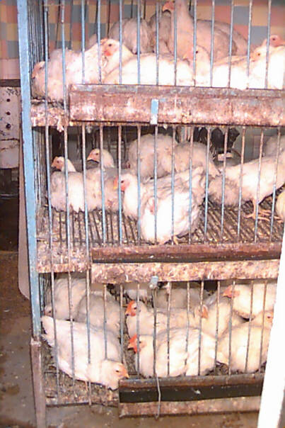 Dead Sea from Jordanian side