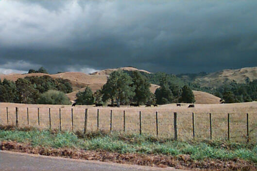 California, or New Zealand?