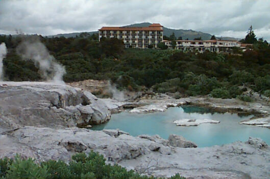 Steamy and Stinky: Rotorua