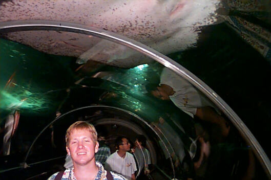 Dazed in the fish tube, like CDG I on serious drugs