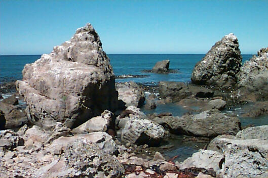 California, or New Zealand?