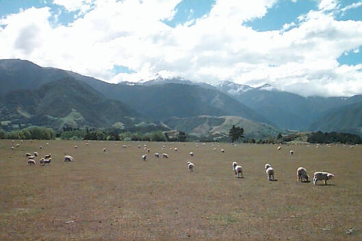 ... though most seem to be