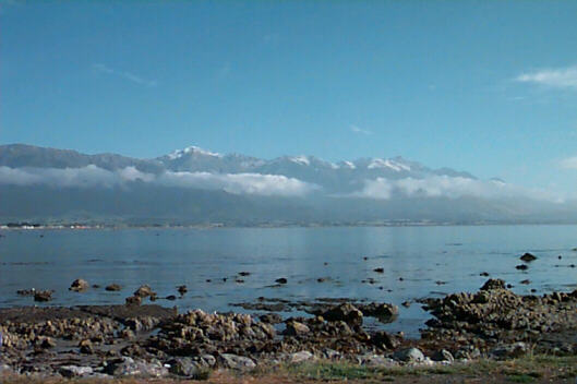 Breakfast in Kaikoura