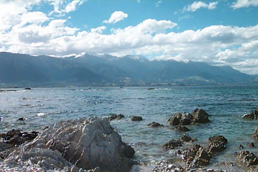 Road to Kaikoura The view from our room at the Panorama