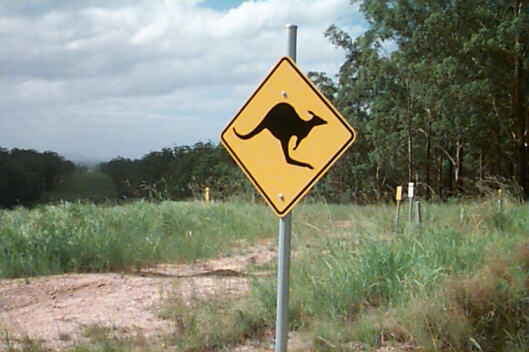 Australian Roadkill Safari