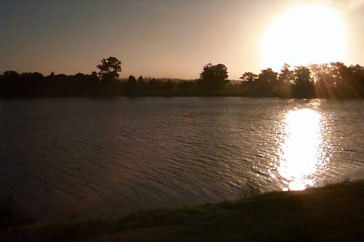 Arty II (or is it 200?)