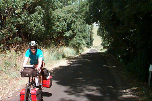 Cranking under the canopy A view from the top