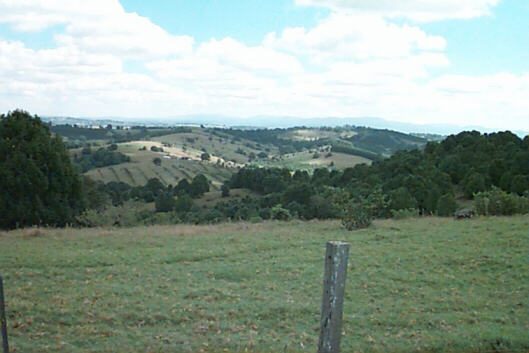 Cranking under the canopy A view from the top