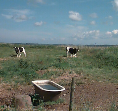 Cute Craig of Comfort