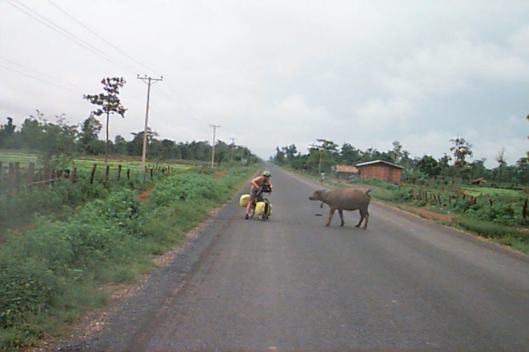 Fighting traffic on the road to Savannakhet