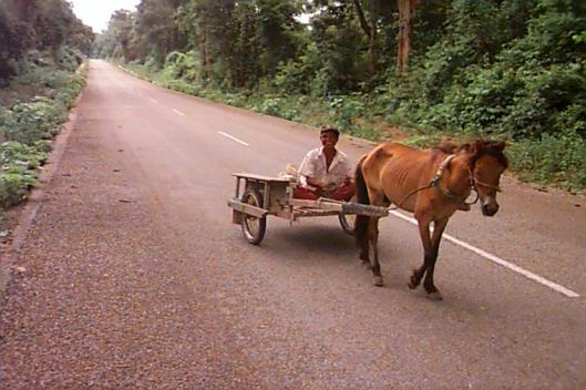 Rush hour on Highway 13