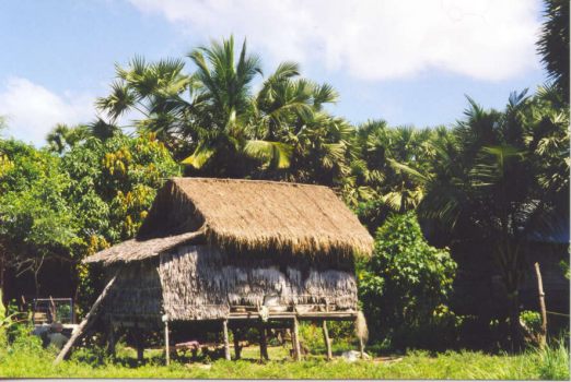 Cambodian house