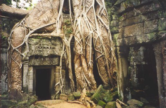 Bonat shows us the Bayon Ta Promh being swallowed by trees