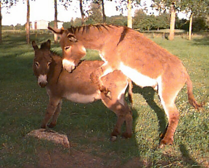Claire, William, Olivier and Andrew