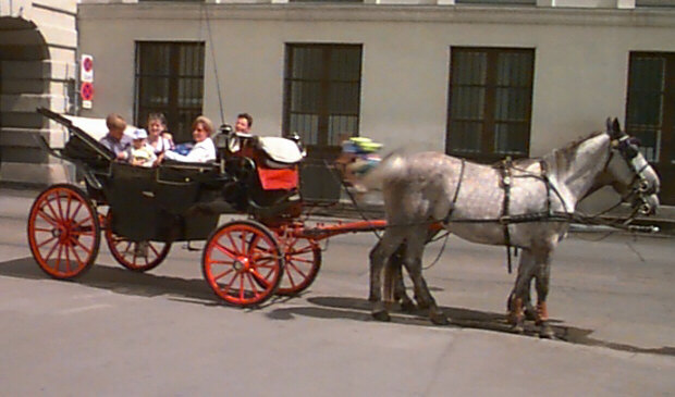 Caspar at the cafe Eiles in Vienna