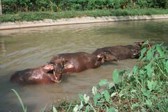 Wish I was there&hellip;