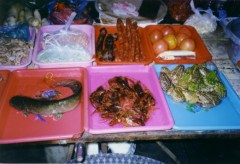 mmmm, live amphibians