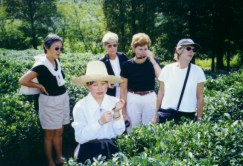 Milwaukee gals learn about tea