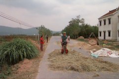 Andy helps with the harvest