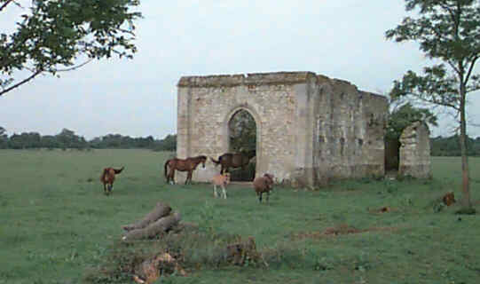 Notre Dame des Chevaux